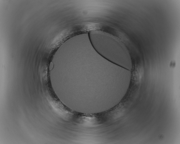 X0000113620552200910021831