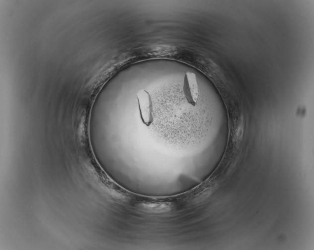 X0000113620553200910021831