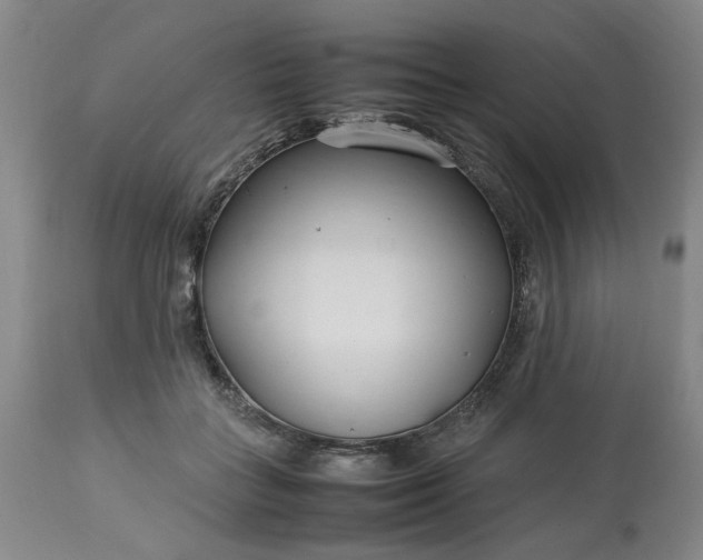 X0000113620555200910021831