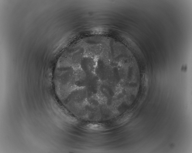 X0000113620557200910021831