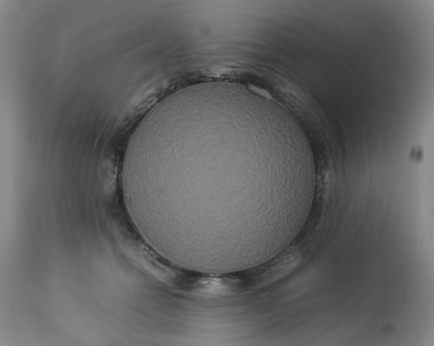 X0000113620558200910021831