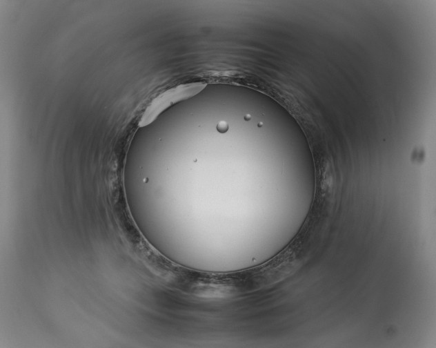 X0000113620559200910021831