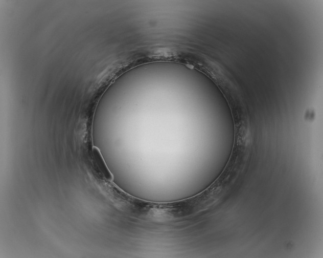 X0000113620560200910021831