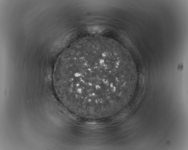 X0000113620561200910021831