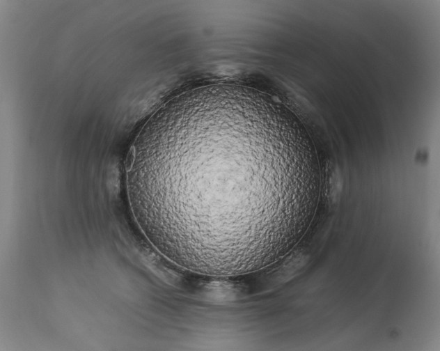 X0000113620562200910021831