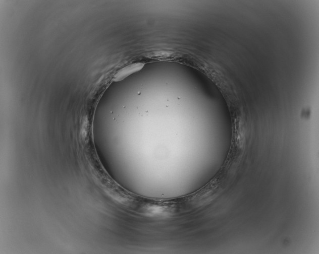 X0000113620563200910021831