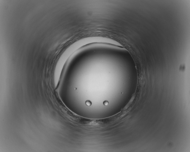 X0000113620566200910021831