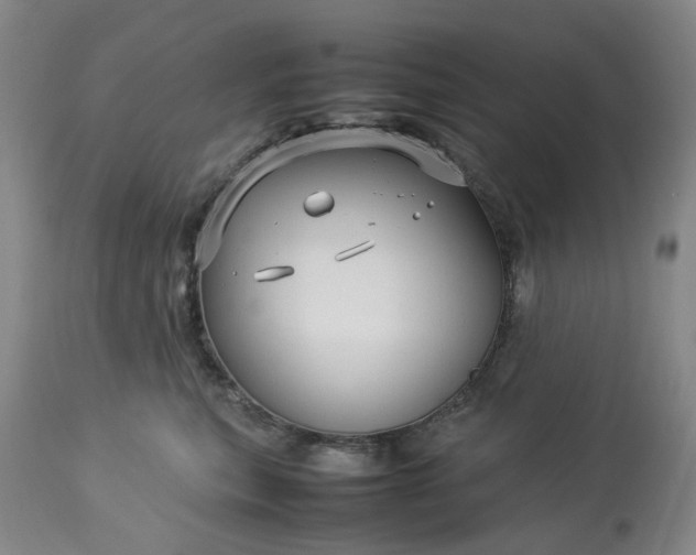 X0000113620567200910021831