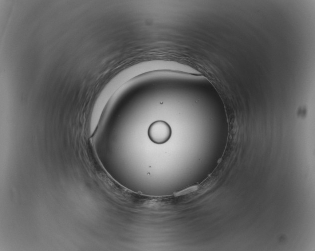 X0000113620568200910021831