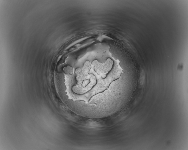 X0000113620569200910021831