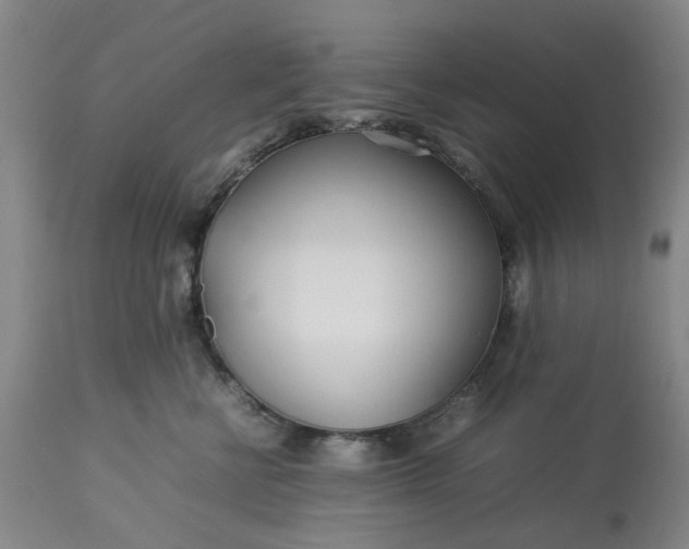 X0000113620570200910021831