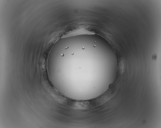 X0000113620571200910021831