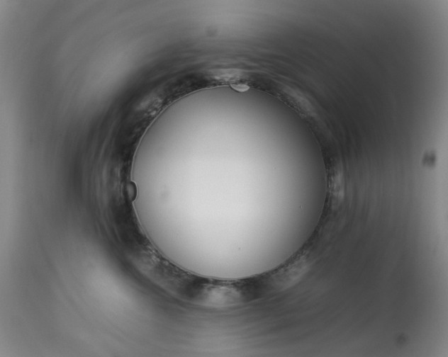 X0000113620572200910021831