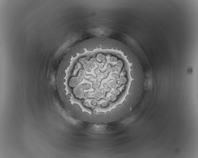 X0000113620573200910021831