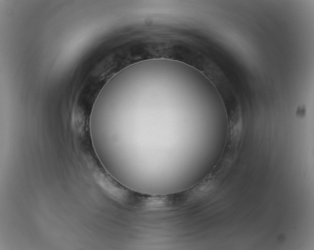 X0000113620574200910021831