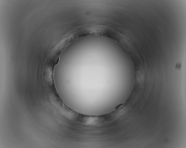 X0000113620575200910021831