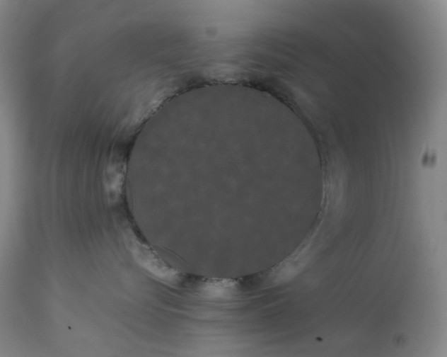 X0000113620576200910021831