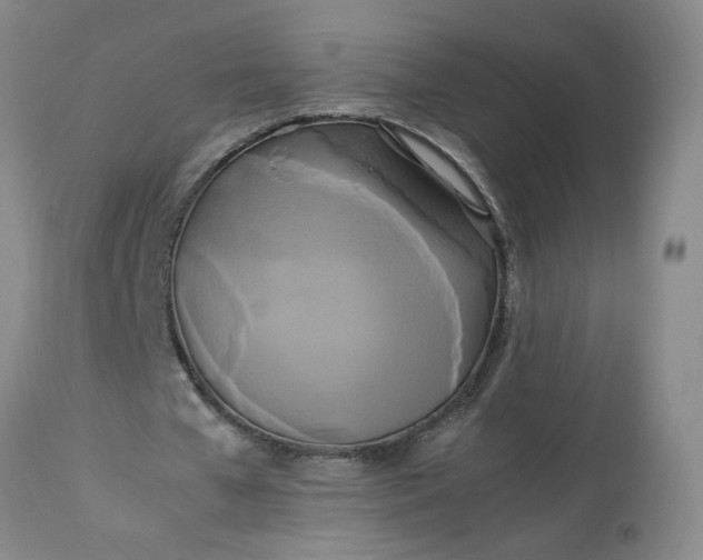 X0000113620577200910021830