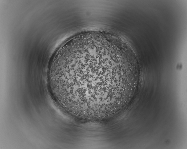 X0000113620578200910021830