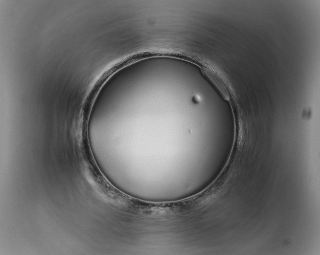 X0000113620580200910021830