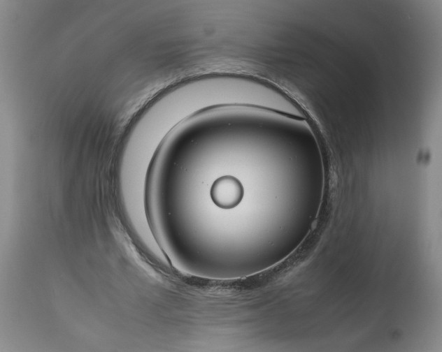 X0000113620581200910021830