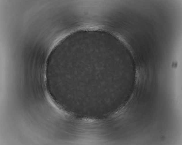 X0000113620582200910021830