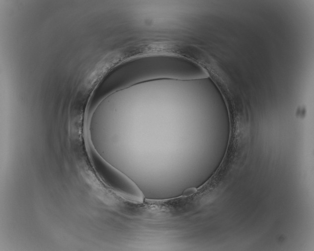 X0000113620585200910021830