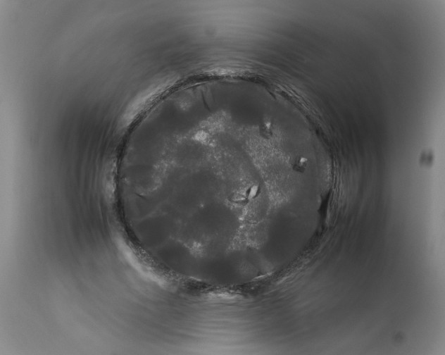 X0000113620586200910021830