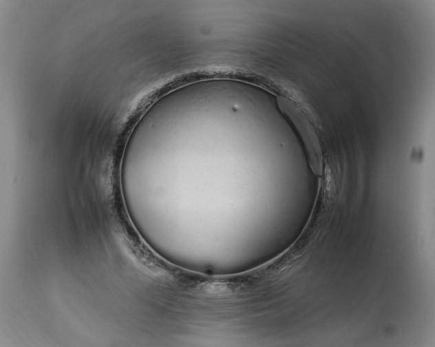 X0000113620588200910021830