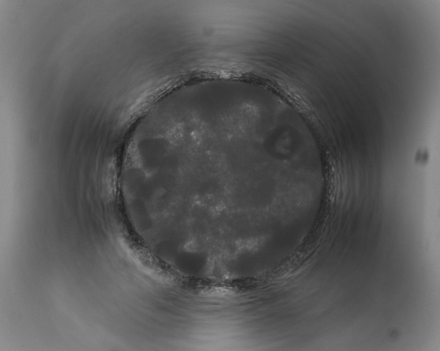 X0000113620594200910021830