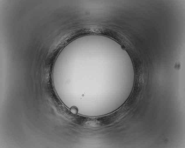 X0000113620595200910021830