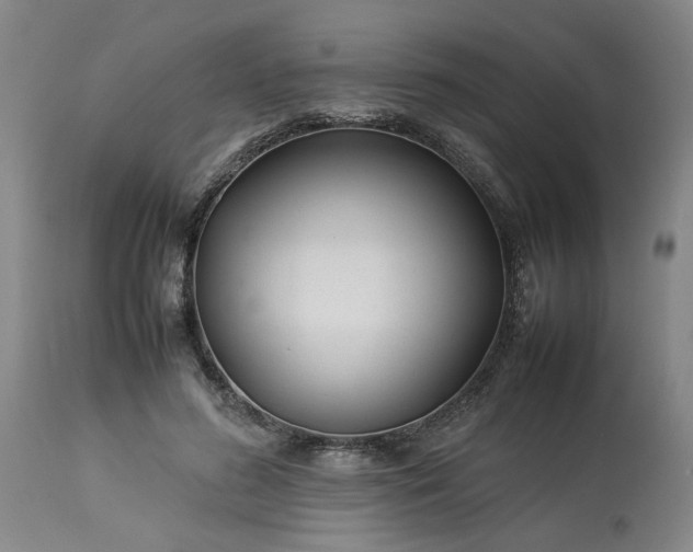 X0000113620596200910021830