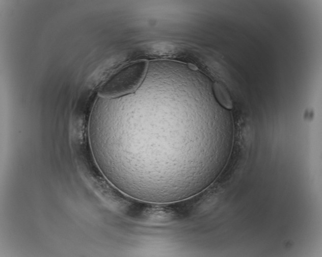 X0000113620597200910021830