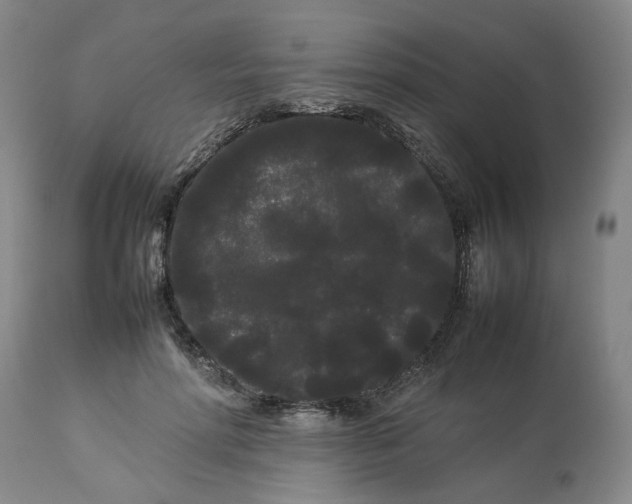 X0000113620598200910021830