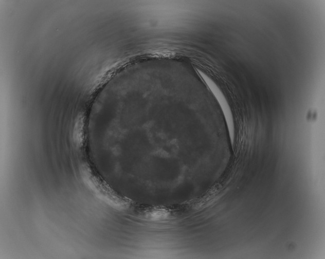 X0000113620600200910021830