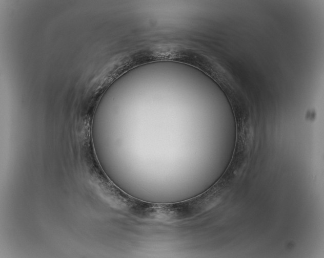 X0000113620601200910021830