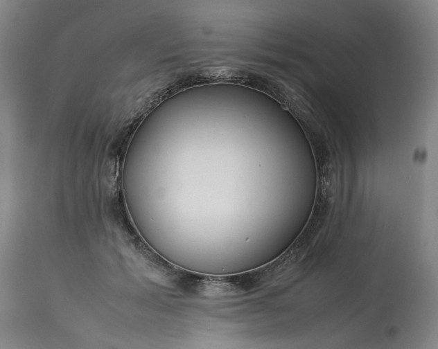 X0000113620605200910021830