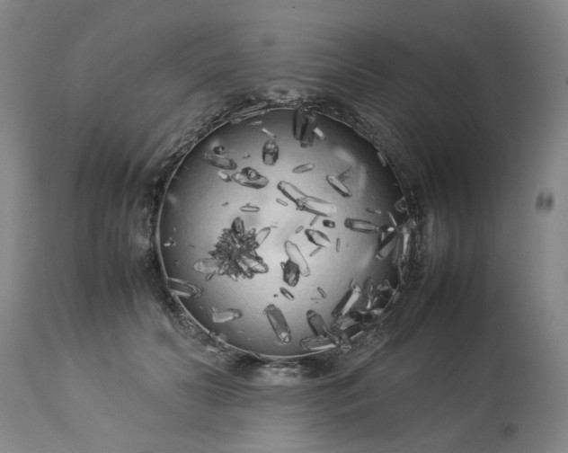 X0000113620606200910021830