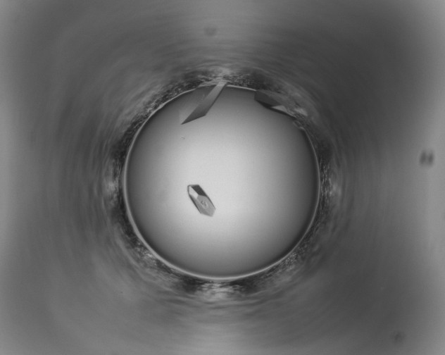 X0000113620607200910021830