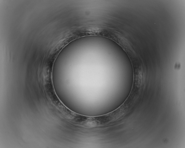 X0000113620608200910021830