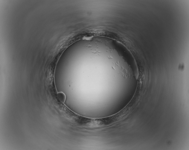 X0000113620609200910021830