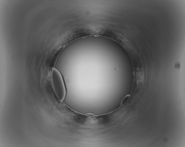 X0000113620613200910021830