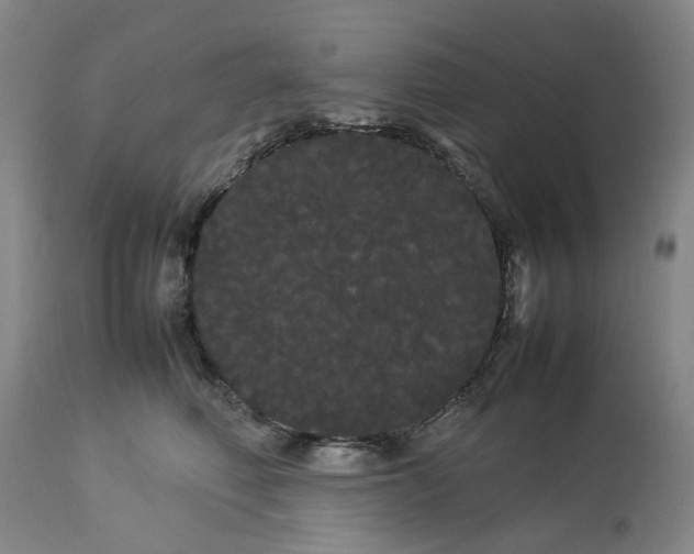 X0000113620614200910021830