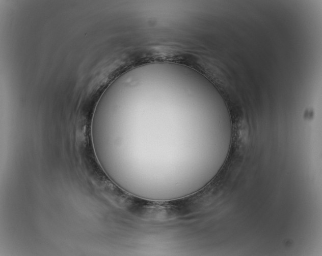 X0000113620615200910021830