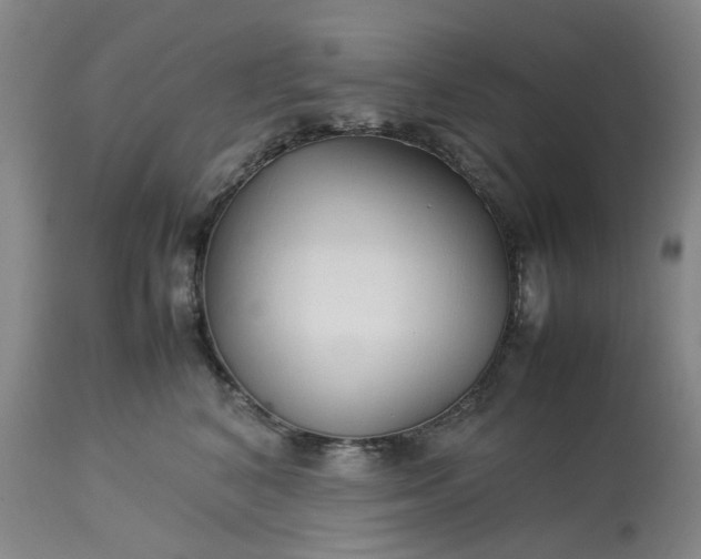 X0000113620616200910021830