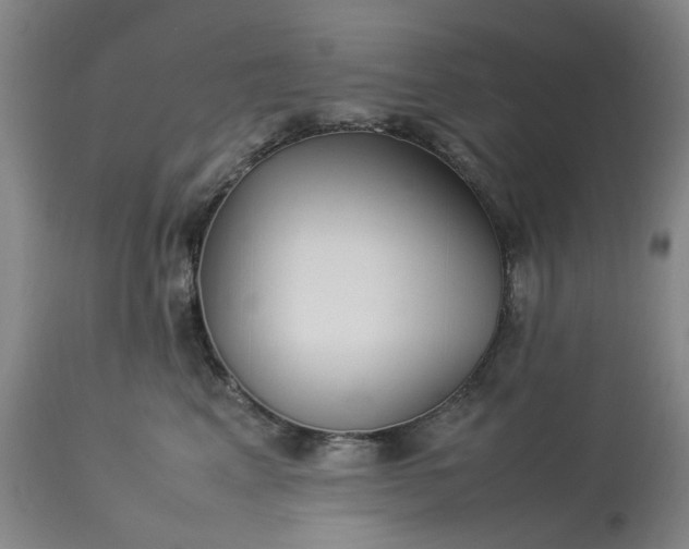 X0000113620617200910021830