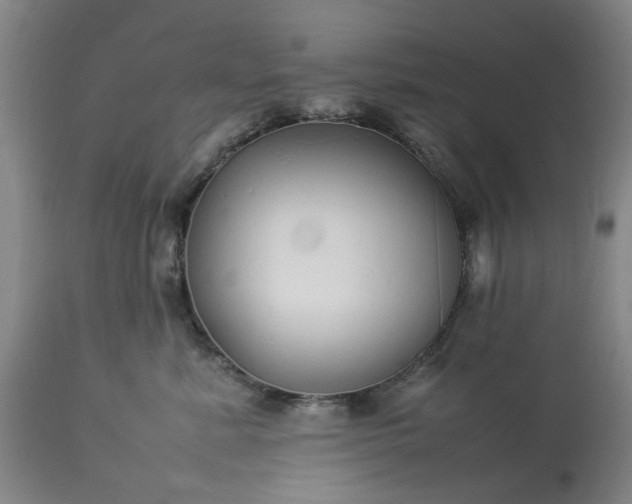 X0000113620619200910021830