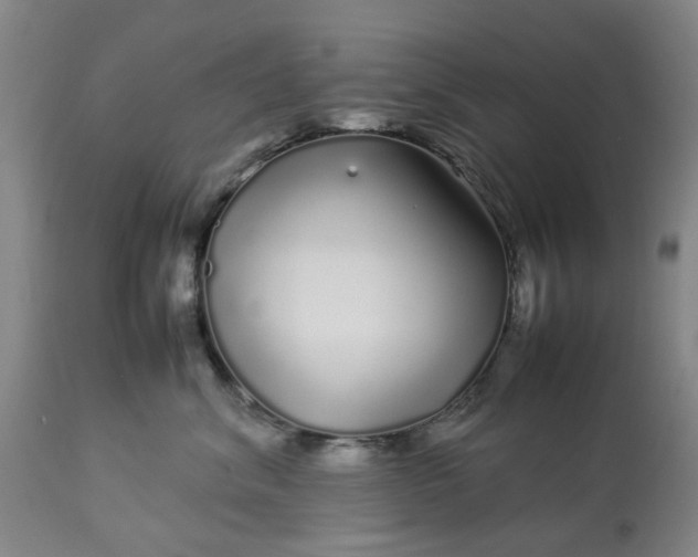 X0000113620620200910021830