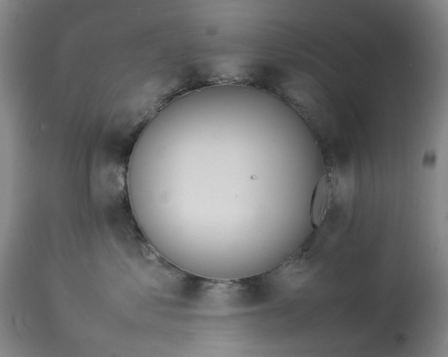 X0000113620621200910021830