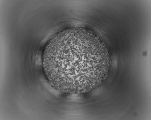 X0000113620622200910021830